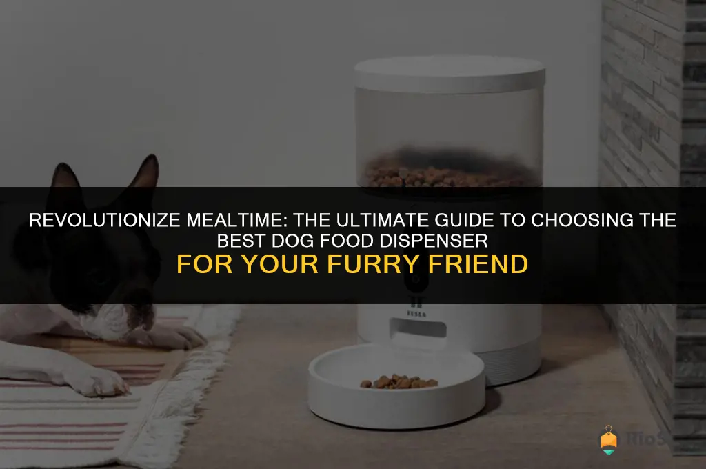 best dog food dispenser