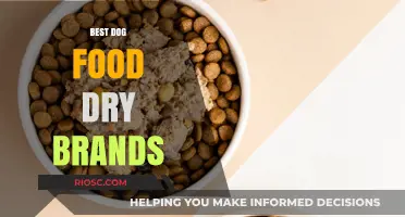 Top-Rated Dry Dog Food Brands: A Comprehensive Guide for Pet Owners