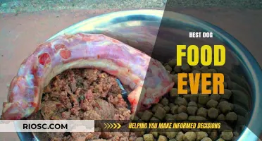 Unleashing the Secrets: The Ultimate Guide to the Best Dog Food Ever