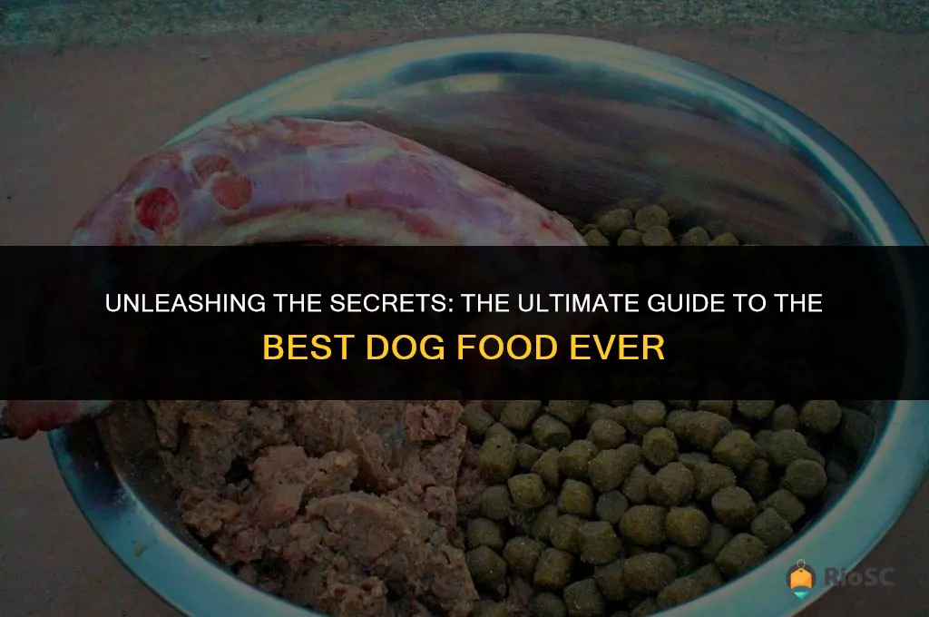 best dog food ever