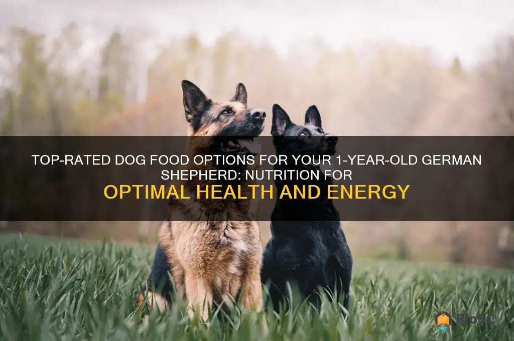 best dog food for 1 year old german shepherd