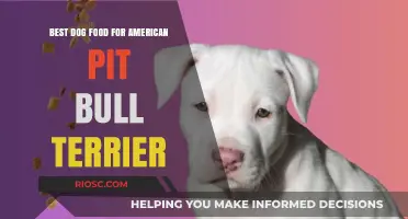 Nutritious and Balanced: Top Dog Food Recommendations for American Pit Bull Terriers