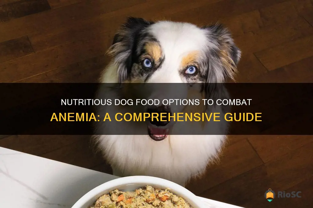 best dog food for anemia