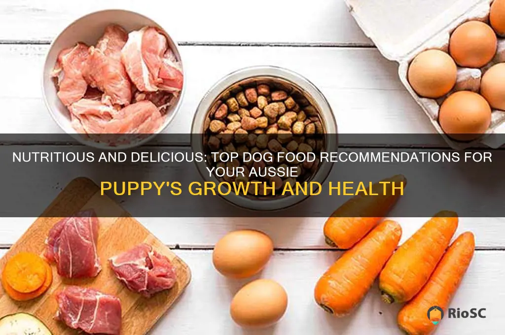 best dog food for aussie puppies