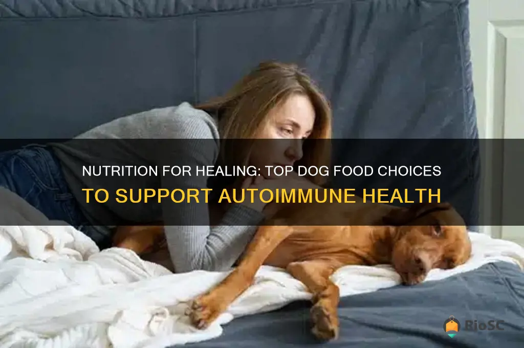 best dog food for autoimmune disease