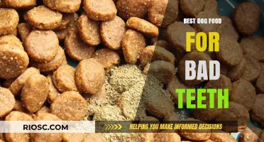 Nutritious Solutions: Top Dog Foods to Improve Dental Health for Dogs with Bad Teeth