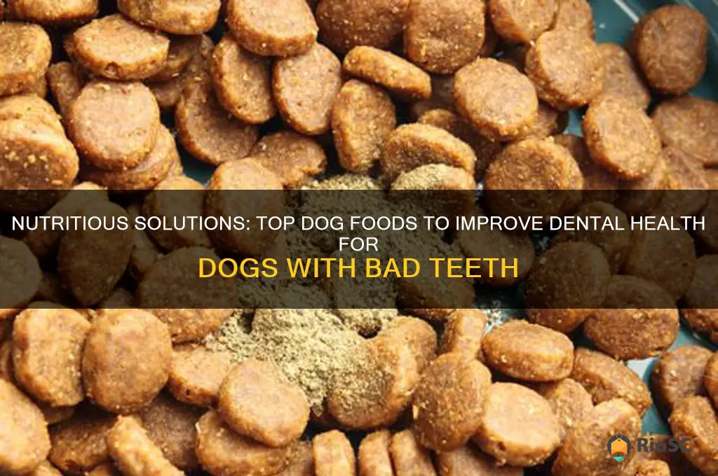 best dog food for bad teeth