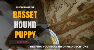 Nutritious and Delicious: Top Dog Food Picks for Your Basset Hound Puppy's Healthy Growth
