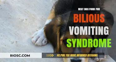 Top Dog Food Recommendations to Manage Bilious Vomiting Syndrome in Dogs