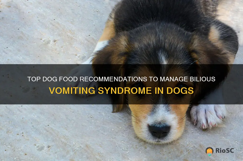 best dog food for bilious vomiting syndrome