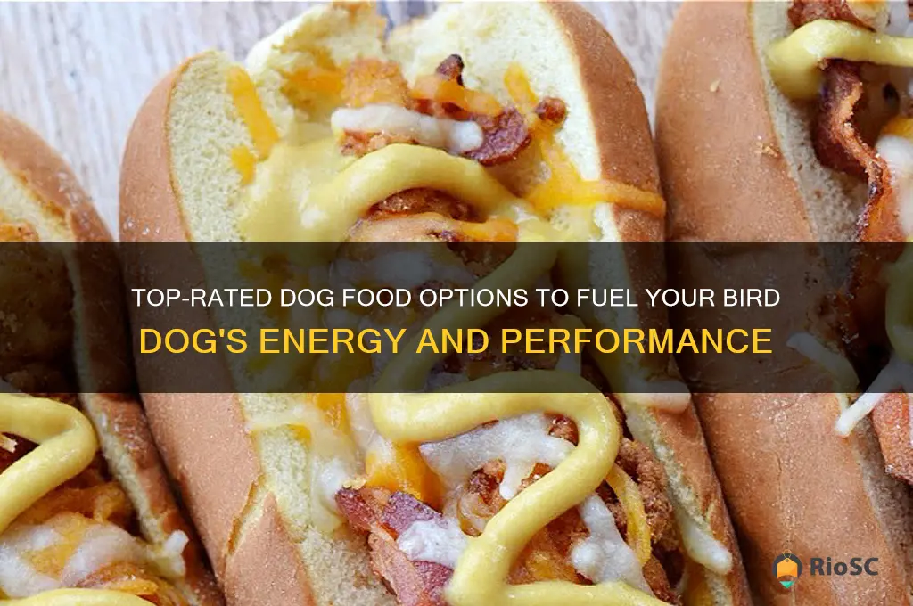 best dog food for bird dogs