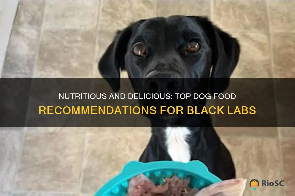 best dog food for black labs