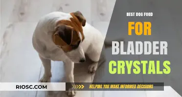 Top Dog Food Choices to Prevent and Manage Bladder Crystals in Your Pet