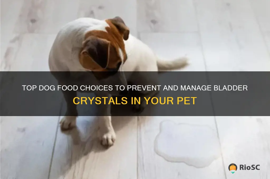 best dog food for bladder crystals