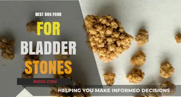 Top Dog Food Options to Prevent and Manage Bladder Stones in Your Pet