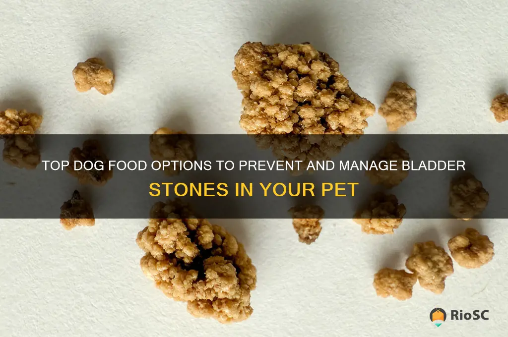 best dog food for bladder stones