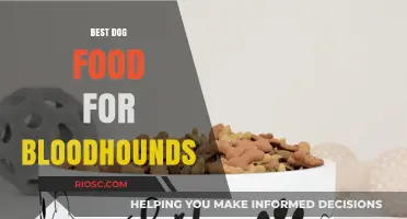 Nutritious and Delicious: Top Dog Food Picks for Bloodhounds to Thrive