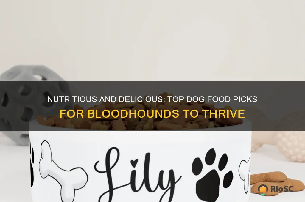 best dog food for bloodhounds