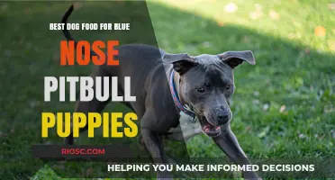 Nutritious and Delicious: Top Dog Food Picks for Blue Nose Pitbull Puppies