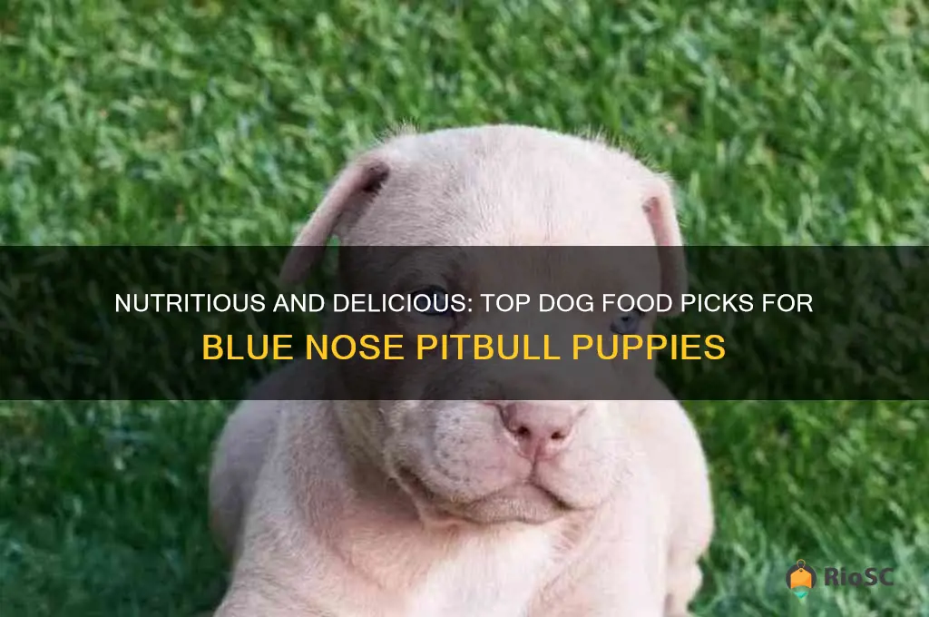 best dog food for blue nose pitbull puppies