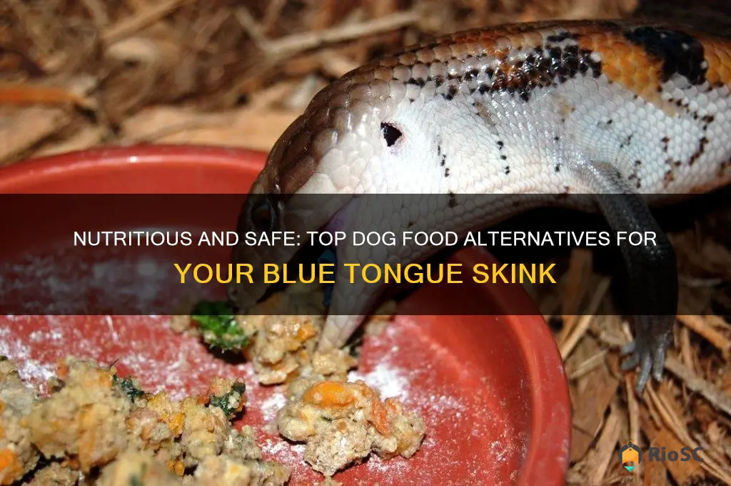 best dog food for blue tongue skink