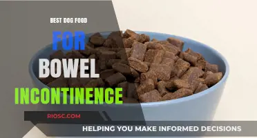 Top Dog Food Recommendations to Manage Bowel Incontinence in Dogs