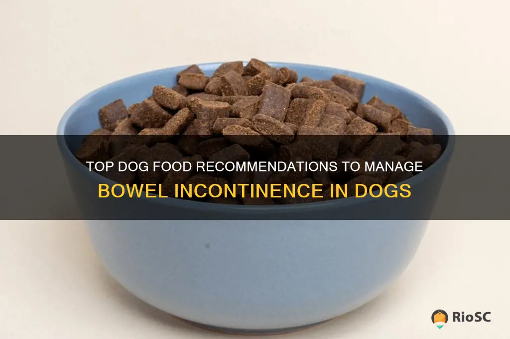 best dog food for bowel incontinence