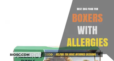 Hypoallergenic Dog Food for Boxers: Top Picks to Soothe Allergies and Promote Health