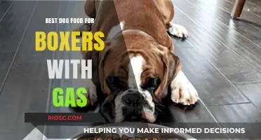 Top Dog Food Picks to Relieve Gas in Boxers: A Healthy Digestive Solution