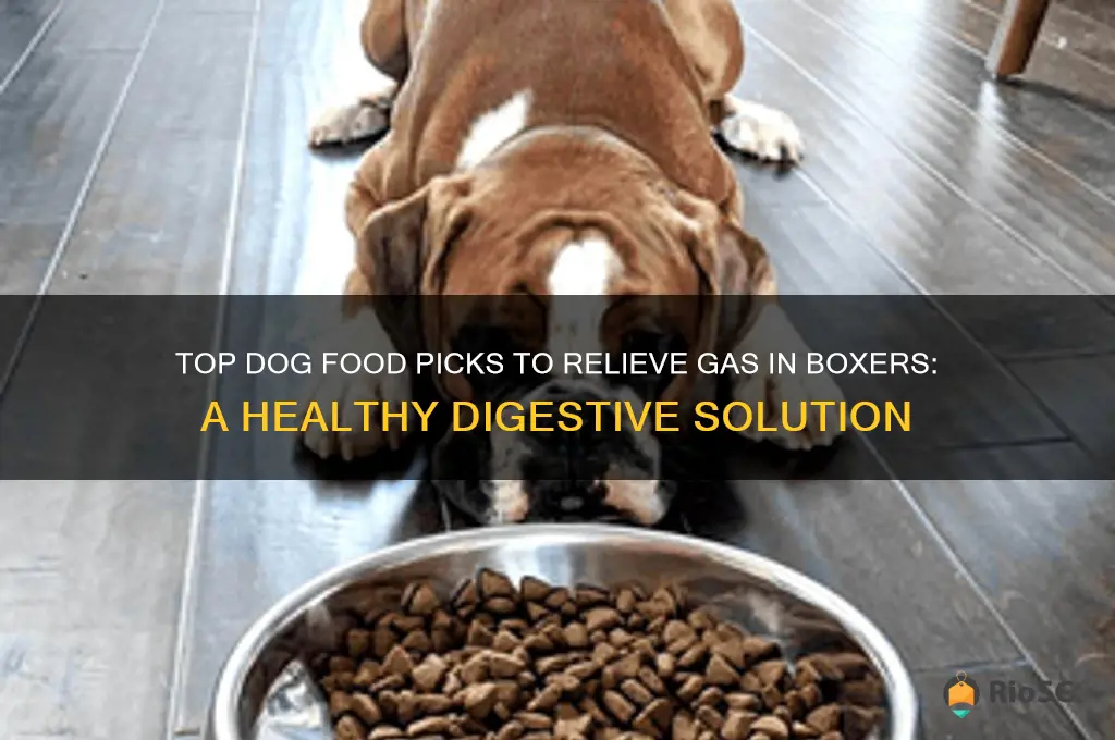 best dog food for boxers with gas