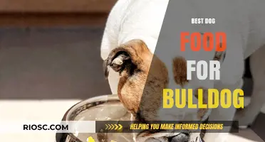 Top-Rated Bulldog Dog Food: Nutrition Tips and Brand Recommendations for a Healthy, Happy Bulldog
