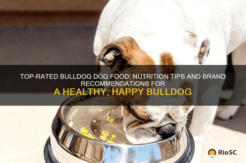best dog food for bulldog