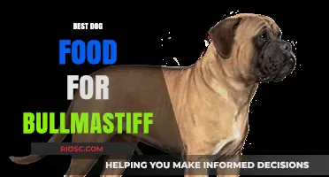 Top Nutritional Choices: Best Dog Food for Bullmastiffs to Support Health and Vitality