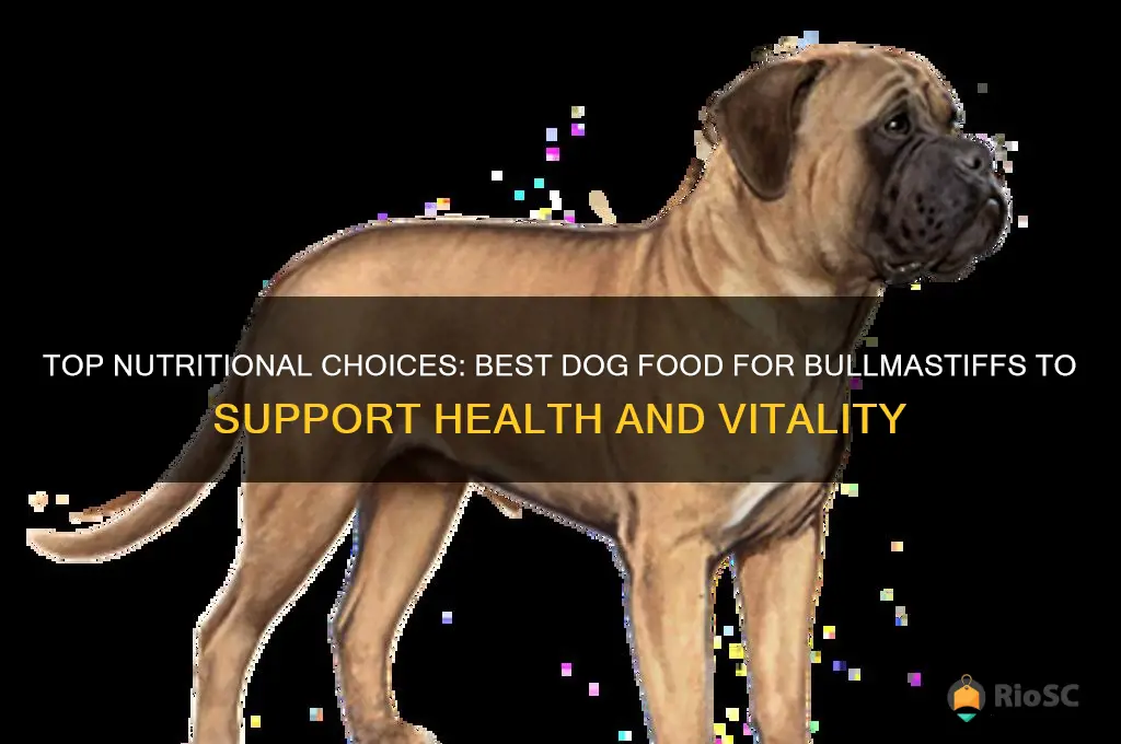 best dog food for bullmastiff