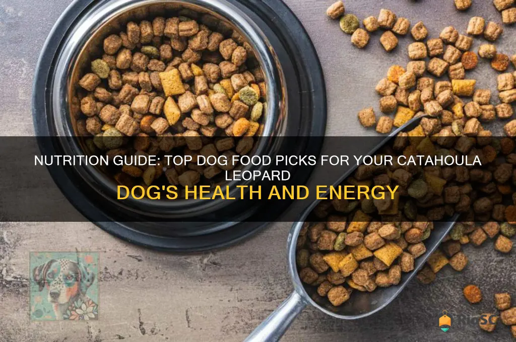 best dog food for catahoula leopard dog