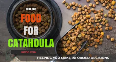 Nutritious Dog Food Options for Your Catahoula Leopard Dog: A Comprehensive Guide
