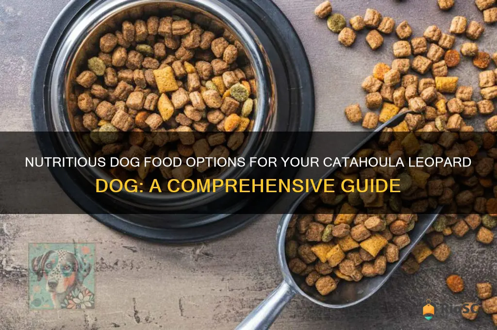 best dog food for catahoula