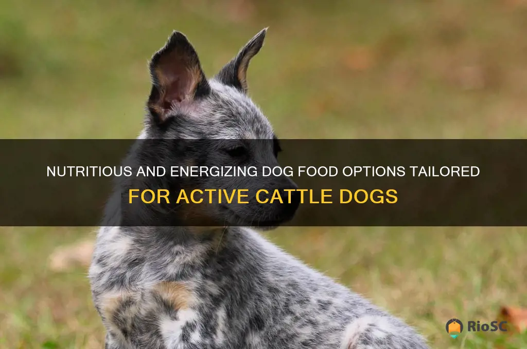 best dog food for cattle dogs