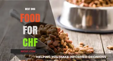 Top Nutritional Choices: Best Dog Food for Managing Congestive Heart Failure (CHF)