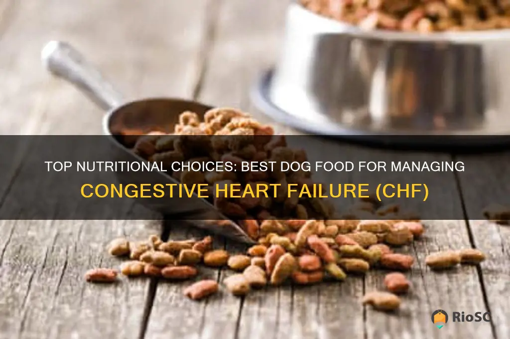 best dog food for chf