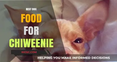 Top Nutritional Picks: Best Dog Food for Your Chiweenie's Health and Happiness