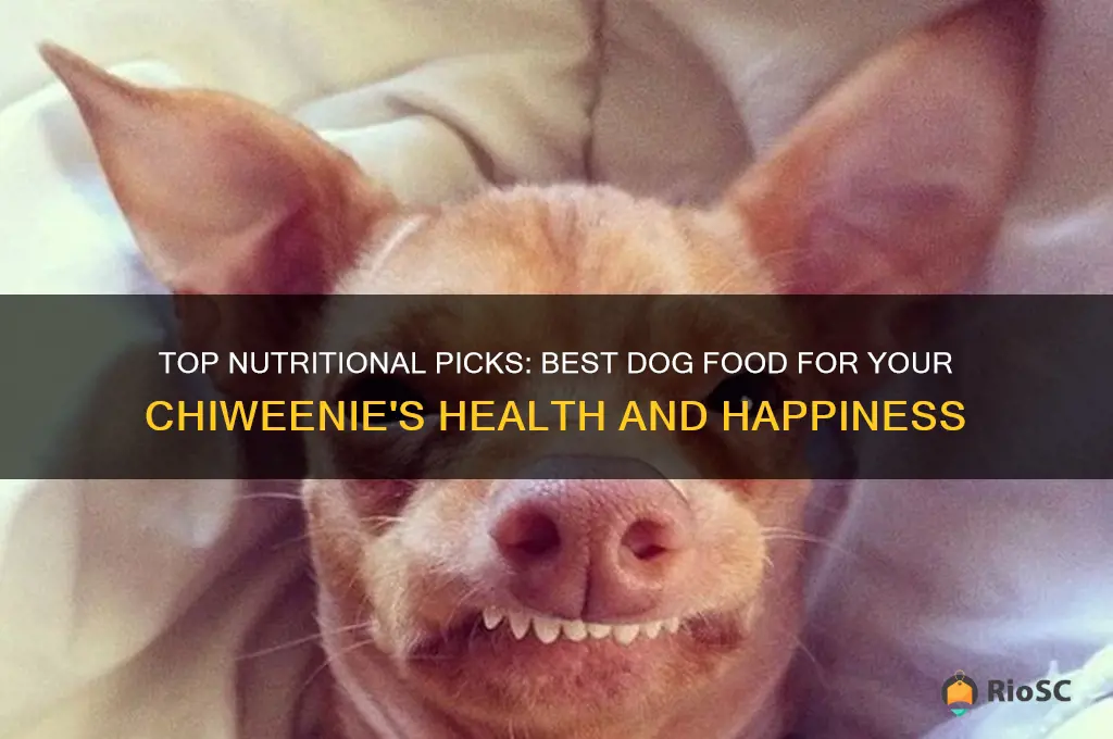 best dog food for chiweenie