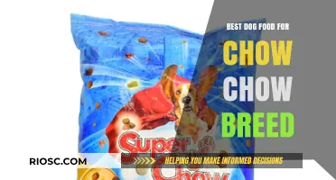 Nutritious Chow Chow Diet: Top Dog Food Recommendations for Optimal Health and Coat Shine