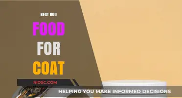 Nourish Your Dog's Shine: Top Dog Foods for a Healthy, Lustrous Coat