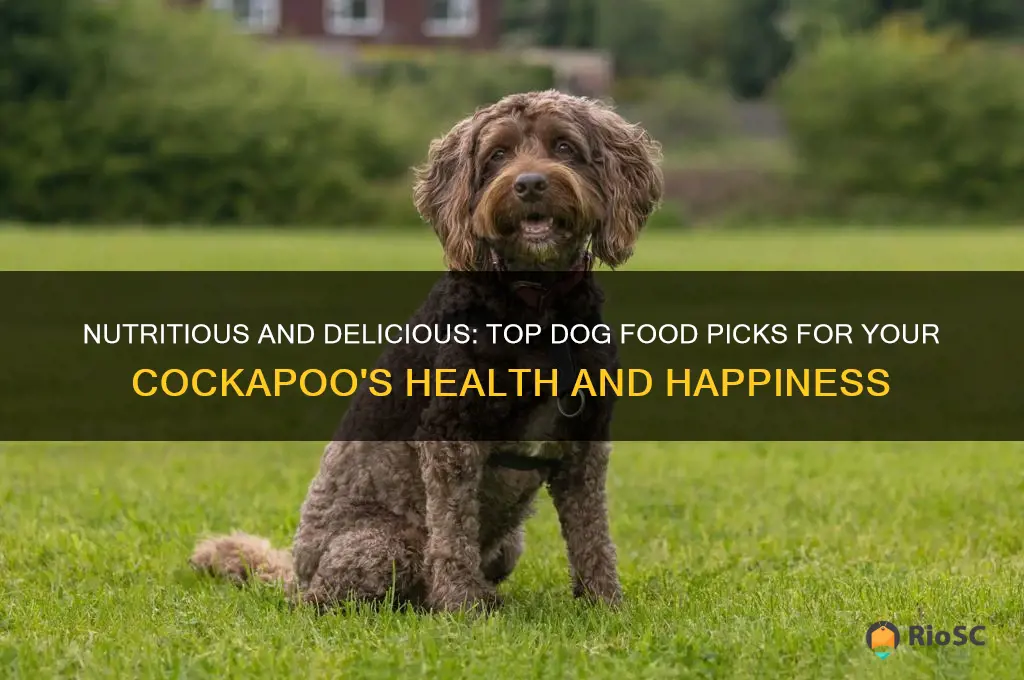best dog food for cockapoos