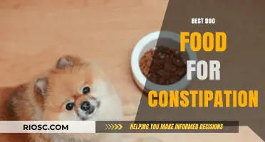 Relieve Your Dog's Constipation: Top Dog Food Recommendations for Healthy Digestion