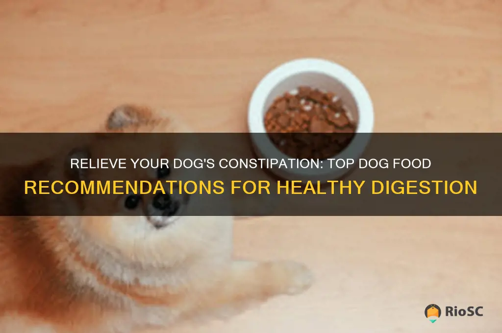 best dog food for constipation