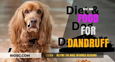 Top Dog Food Choices to Combat Dandruff and Promote Healthy Skin