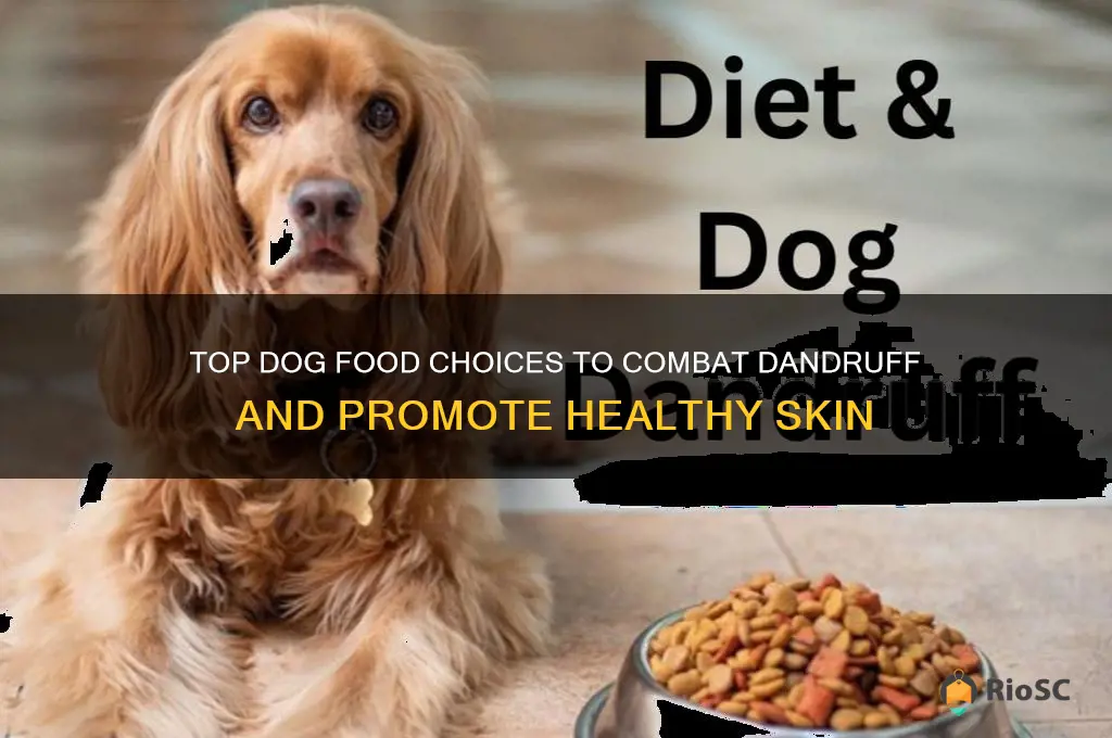 best dog food for dandruff