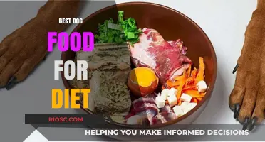 Optimal Nutrition for Canine Companions: A Guide to the Best Dog Food for Diet